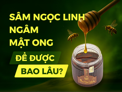 Sâm Ngọc Linh ngâm mật ong để được bao lâu?